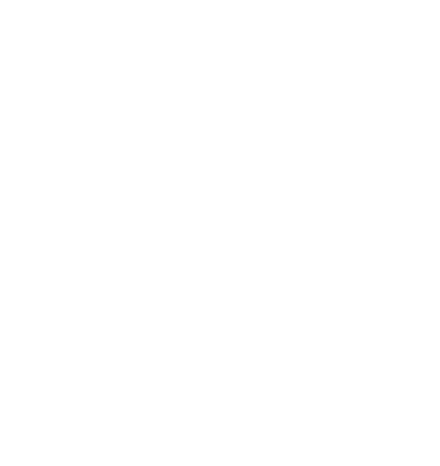 THREE TIGERS BREWING CO